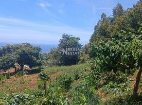 Funchal, Ilha da Madeira