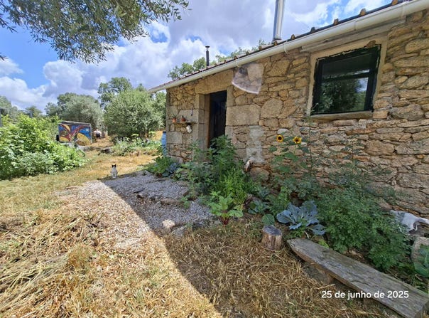 Monsanto e Idanha-a-Velha, Castelo Branco 6060