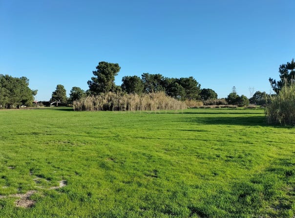 Alhos Vedros, Setubal