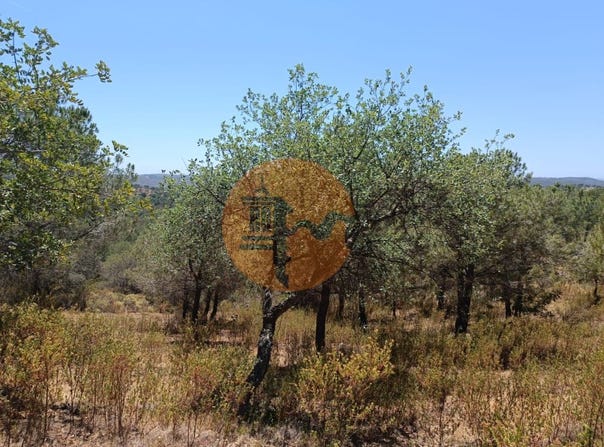 Odeleite, Algarve