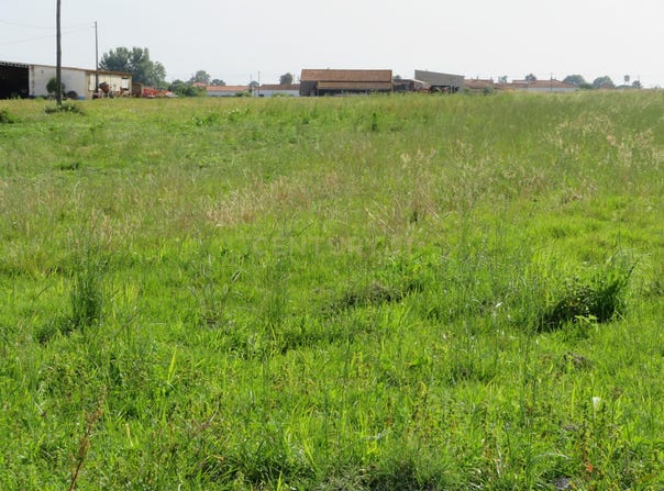 Alcaravela, Santarém District