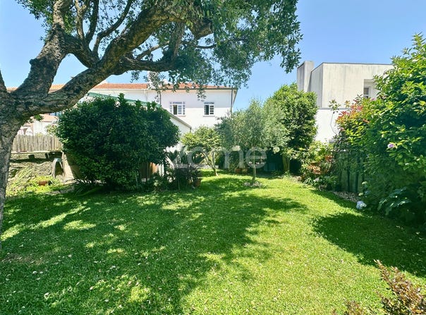 Porto, Porto District