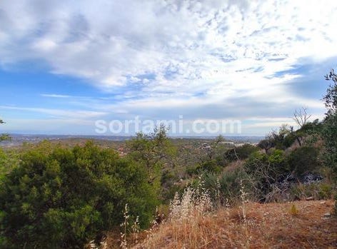 Loule, Faro