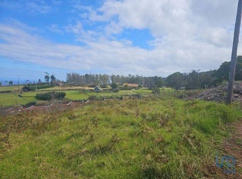 Porto Moniz, Ilha da Madeira 9270-014