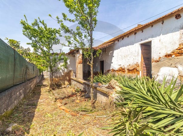 São Pedro de Tomar, Santarém District