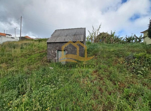 Estrada P. Alfredo Vieira de Freitas, Gaula, Madeira 9100