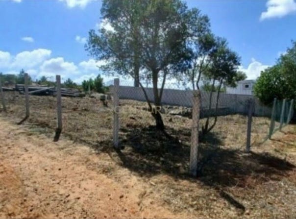 Quinta do Anjo, Setubal