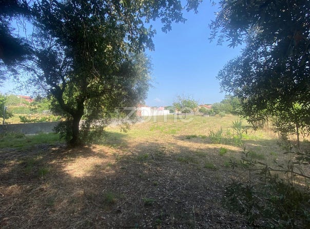 Cantanhede, Coimbra District