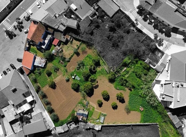 Borba (Matriz), Évora District