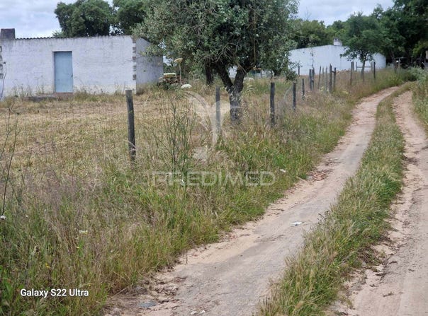 Torrão, Alcácer do Sal, Setubal