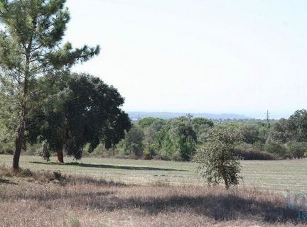 Grândola, Setúbal 7570-769