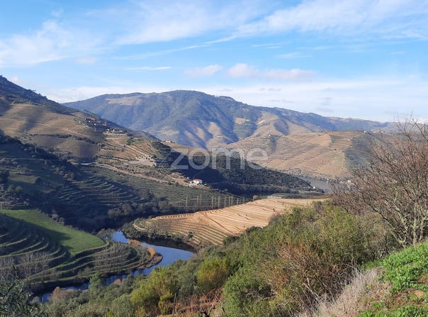Tabuaço, Viseu District