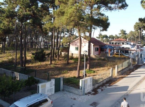 Setúbal, Setubal