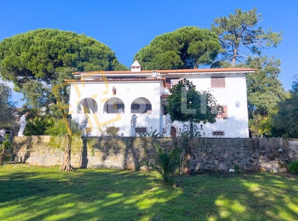 Santo Estêvão Das Galés, Lisbon 2665