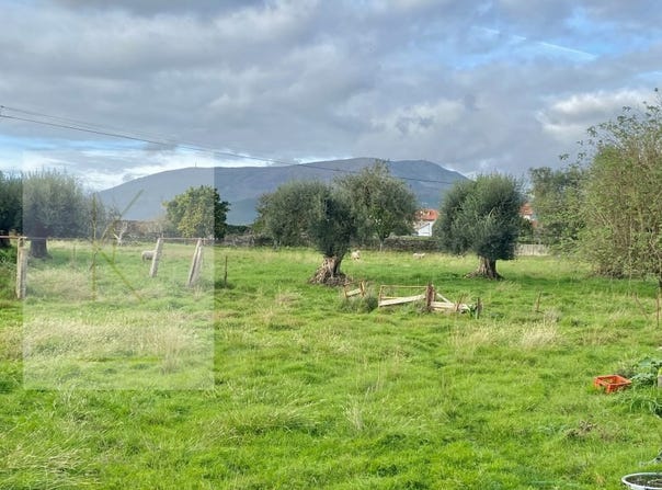 Fontão, Viana do Castelo District