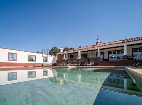 Avis, Portalegre