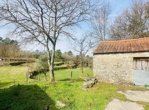 Bodiosa, Viseu District