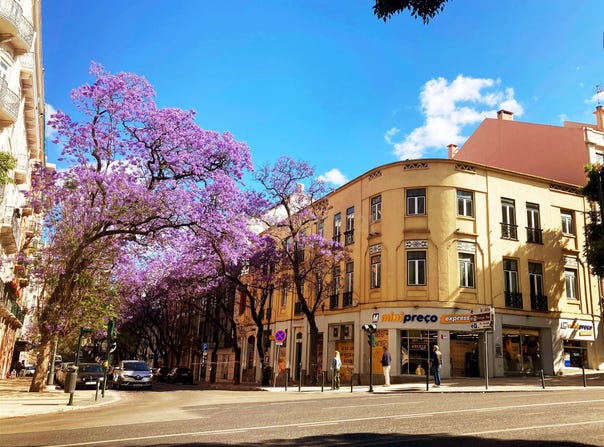 Santo António, Lisbon 1169-047
