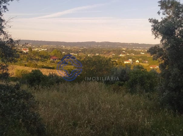 São Pedro De Tomar, Santarém 2300