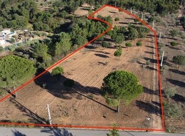 Abrantes, Santarém 2200-638