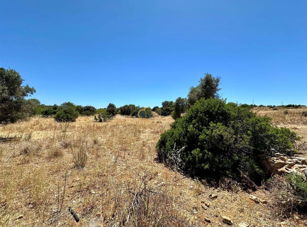 Guia, Algarve 8200