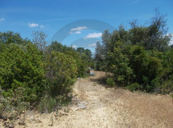 Brogueira, Santarém District