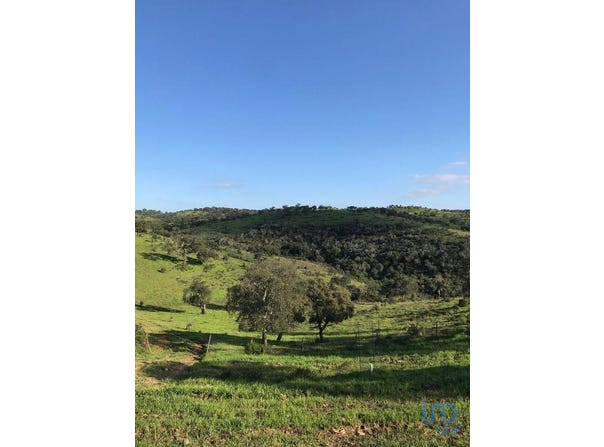 Beja, Beja District