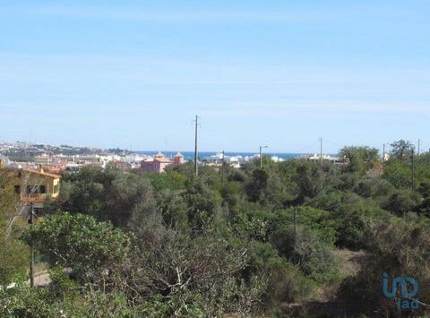 Silves, Faro 8365-160