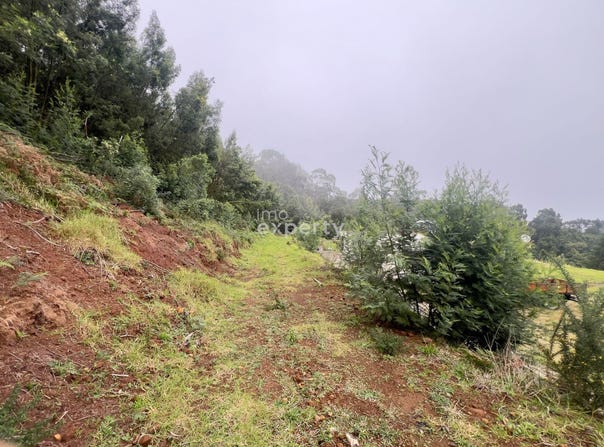 Ilha da Madeira, Madeira