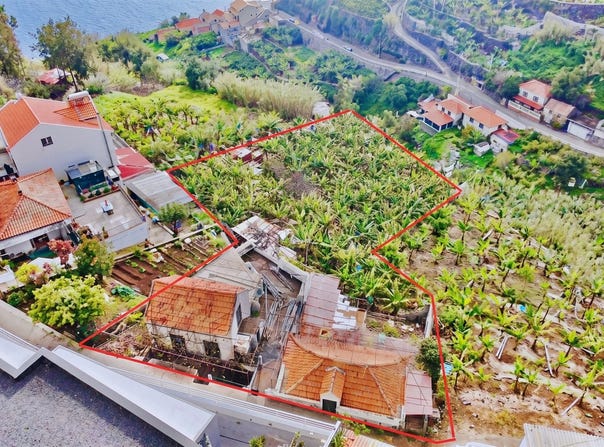 Canhas, Madeira 9360