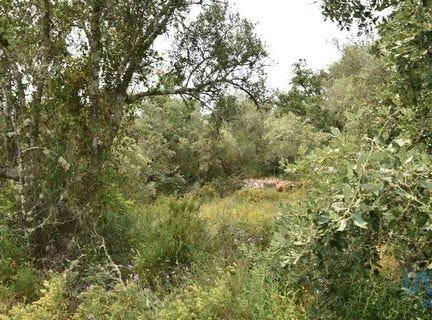 Ferreira do Zêzere, Santarém 2240-300