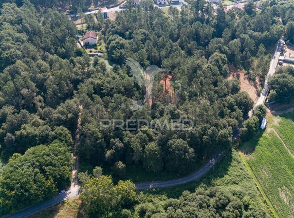 Sabariz, Vila Verde, Braga 4730