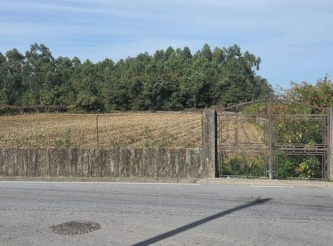 Barcelos, Braga