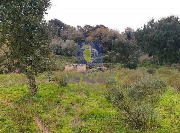 Arruda Dos Vinhos, Lisbon 2630