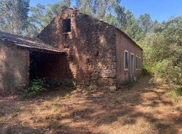 Maçãs de Dona Maria, Leiria District