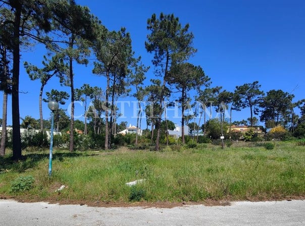 Charneca De Caparica, Setúbal 2820