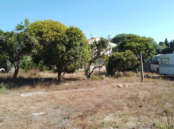 Marinha Grande, Leiria District