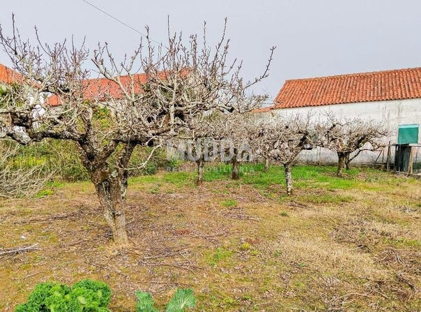A Dos Negros, Leiria 2510