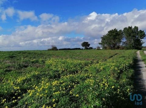 Montijo, Setúbal 2985-120