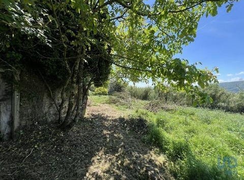 Penela, Coimbra 3230-217
