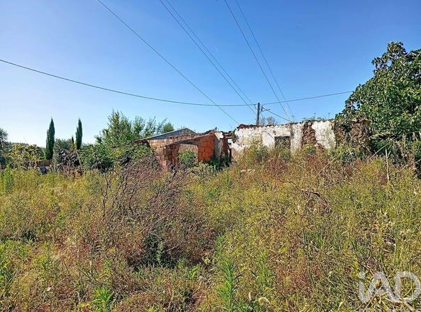 Santarém, Santarém District