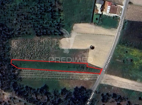 Ouca, Vagos, Aveiro District 3840-303