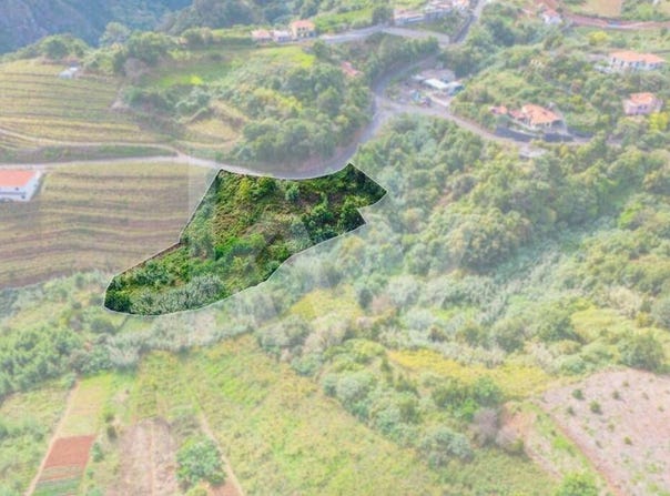 Sao Jorge, Madeira 9230