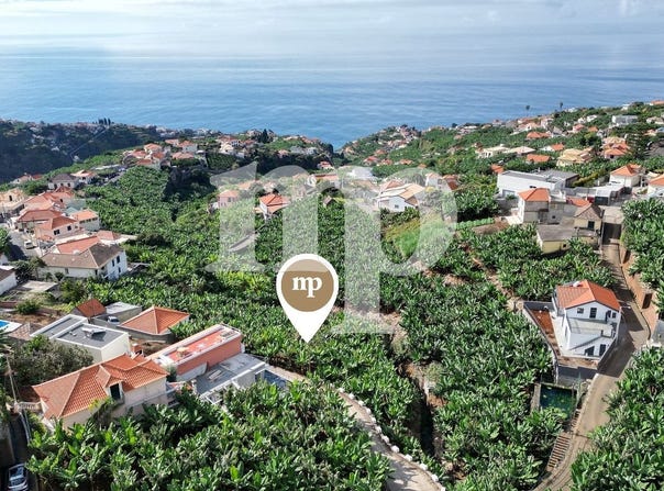 Ponta Do Sol, Madeira 9350