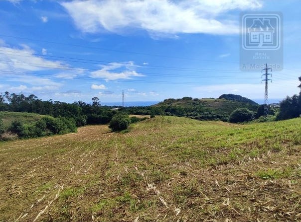 São Roque, Azores