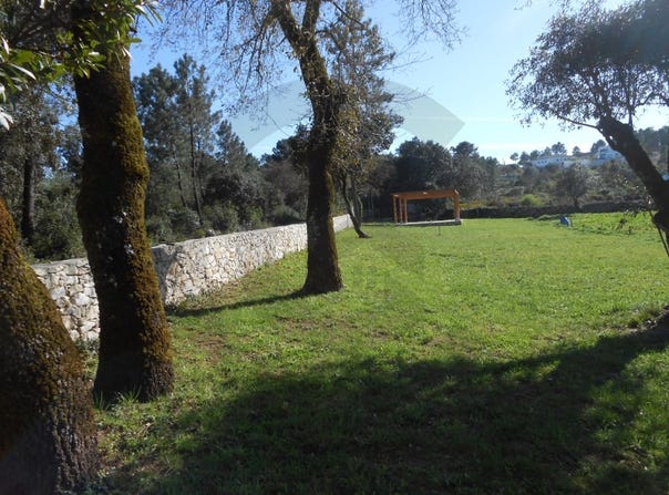 Fátima, Santarém District