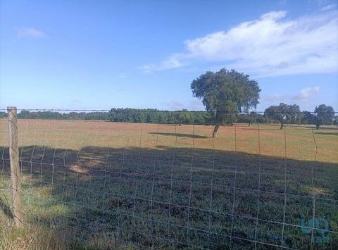 Montijo, Setúbal 2985-204