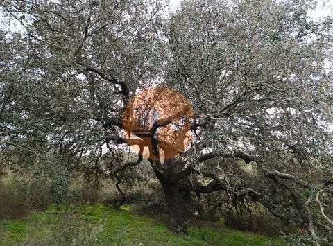 Balurcos, Alcoutim, Faro