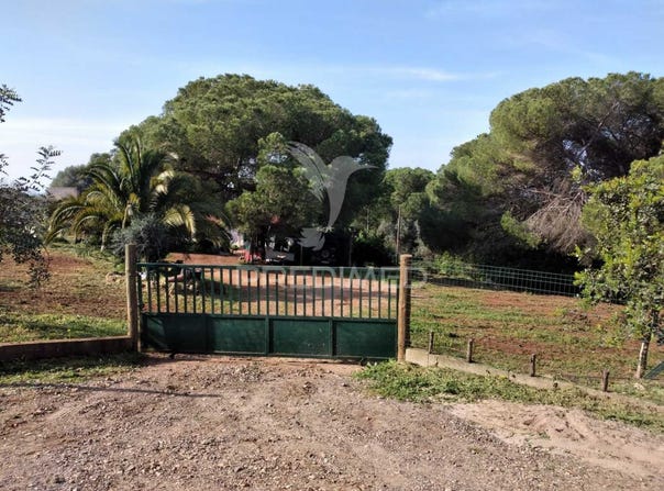 Santiago do Cacém, Santa Cruz e São Bartolomeu da Serra, Santiago do Cacém, Setubal 7540