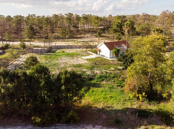 COMPORTA, Setubal